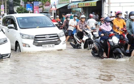 Chủ tịch Cần Thơ ‘treo thưởng’ 50 triệu đồng cho sáng kiến giúp thành phố thoát ngập