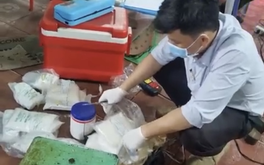 TP.HCM: Phát hiện 3 cơ sở ở Bình Đông ngâm hoa chuối với hàn the, chất tẩy trắng
