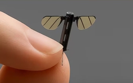 Chuyên gia quân sự lên tiếng về drone nhỏ ‘bằng con muỗi’ của Trung Quốc