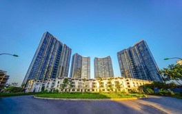 Phiên livestream đặt giá NobleGo: Khách sở hữu căn hộ Sunshine City rẻ hơn 2 tỉ đồng