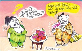 Tội nghiệp bà Đoàn Thị Điểm!
