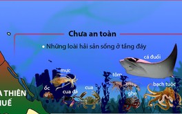 ​Hải sản nào an toàn và chưa an toàn ở bốn tỉnh miền Trung?