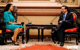 Netherlands seeks to deepen cooperation with Ho Chi Minh City: consul general