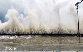 Up to 5 more storms, tropical depressions forecast over East Vietnam Sea this year
