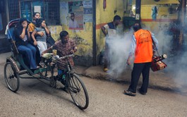 Dengue cases surge across Bangladesh as experts call for urgent action