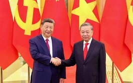 China gives priority to Vietnam in neighborhood diplomacy: Xi Jinping