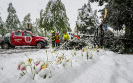 Spring snow storm wreaks deadly havoc in the Alps