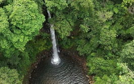 Vietnam discovers 2 waterfalls with tourism potential in central forest