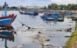 Vietnam’s Ly Son special zone strengthens anti-littering measures