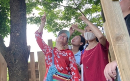 AI translates birdsong into human text in maiden Vietnam-Germany art installation