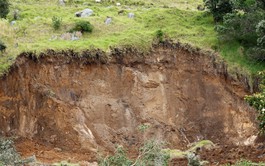 Survivors unlikely in New Zealand landslide, police say