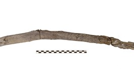 Scientists recover the oldest wooden tools from a site in Greece