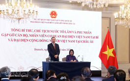 General Secretary and President To Lam meets with staff of Vietnamese agencies in Belgium, Vietnamese community in Europe