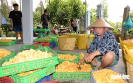 Vietnam’s Mekong Delta jackfruit farmers struggle amid price collapse