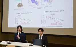 Japan team finds substance to help keep post-stroke recovery