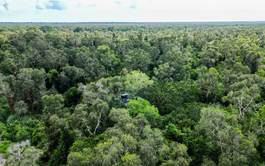 Vietnam’s Ca Mau uses thermal drones, smart cameras to prevent forest fires