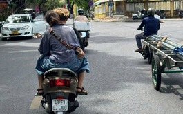 Many foreign tourists flout helmet rules on Da Nang streets