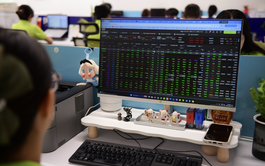 Which of 27 Vietnamese stocks set to join FTSE global indices are most widely held by funds?