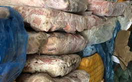 10 metric tons of animal offal, meats of unknown origin found in Ho Chi Minh City