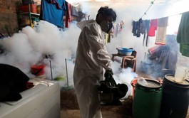 Peru's dengue deaths triple as climate change swells mosquito population