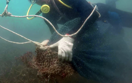 Scuba divers remove garbage from coral reefs off Vietnam’s Con Dao Island