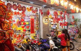 Lion dance, lanterns light up Da Nang for Mid-Autumn Festival