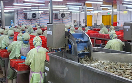 Global trade tensions: Vietnamese wood industry faces challenges, seafood, fruit firms see opportunities