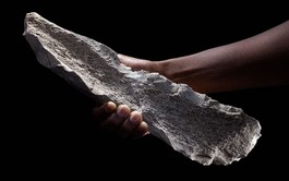 Tools made from elephant and hippo bones show ingenuity of human ancestors