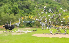 Đảo Hoa Lan – vịnh Nha Phu