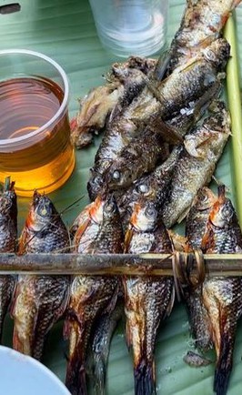 Cá mát: Đặc sản đại ngàn Trường Sơn