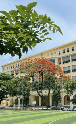 Trường Đại học Y Dược TP.HCM