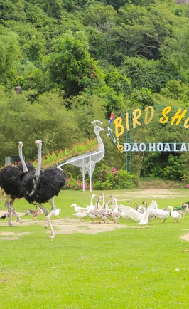 Đảo Hoa Lan – vịnh Nha Phu