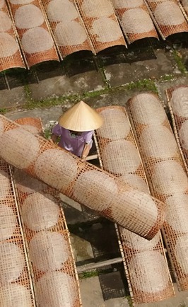 Bánh tráng phơi sương