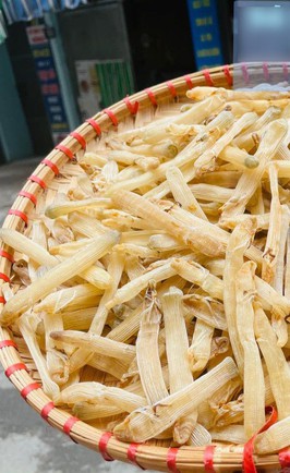 Sá sùng