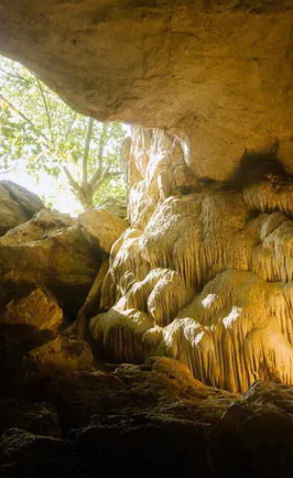Ngũ động Bản Ôn