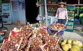 Những món ăn vặt siêu ngon làm từ dừa nước