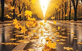 Quiz: Bức ảnh tiết lộ suy nghĩ bí mật gì của bạn?