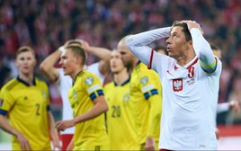 Ba Lan đấu Thụy Điển: Lewandowski hay Gyokeres sẽ  tỏa sáng?