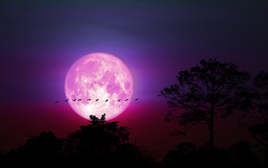 Tối nay 1-4 có Trăng Hồng, thời điểm lý tưởng để ngắm là khi nào?