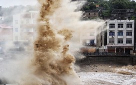 Bão Dolphin hướng về Trung Quốc, tỉnh Chiết Giang triển khai ứng phó