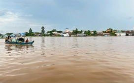 Đồng bằng sông Cửu Long 'đói' lũ, chuyên gia nói gì?