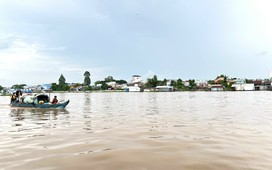 Đồng bằng sông Cửu Long 'đói' lũ, chuyên gia nói gì?