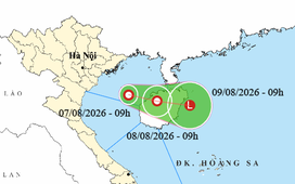 Áp thấp nhiệt đới hình thành ở vịnh Bắc Bộ, bão Dolphin đang quét qua phía nam Nhật Bản
