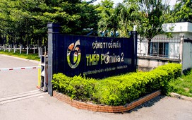 Được Vinhomes hỗ trợ hơn 1.100 tỉ, Pomina đang kinh doanh ra sao?