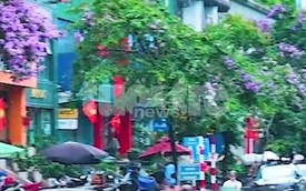 Hanoi welcomed an estimated 4.64 million international visitors in six months