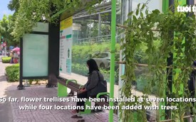 Ho Chi Minh City gives bus stops greener, cooler makeover