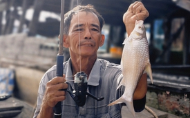 It’s prime time for catching soldier-river barb in Vietnam’s Mekong Delta