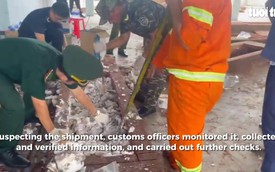 Nearly 1.2 tonnes of ivory hidden in cargo shipped to Vietnam from Africa