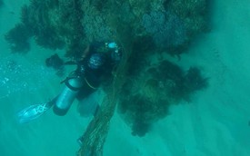 Divers clean up abandoned fishing nets to save marine life off central Vietnam island