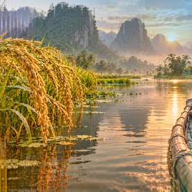 Nhạc quê hương